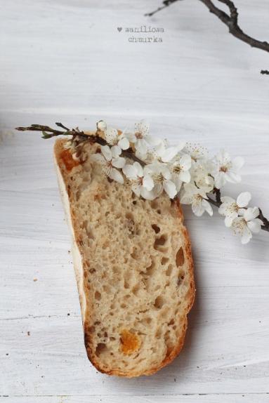 Zdjęcie - Chleb z ziarnami i morelami - Przepisy kulinarne ze zdjęciami