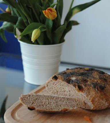 Zdjęcie - Chleb pszenny z suszonymi morelami i makiem - Przepisy kulinarne ze zdjęciami