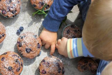 Zdjęcie - Muffiny z borówkami - Przepisy kulinarne ze zdjęciami