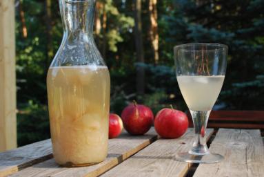 Zdjęcie - Apelkold – nektar ze świeżych jabłek z miodem i lodem - Przepisy kulinarne ze zdjęciami