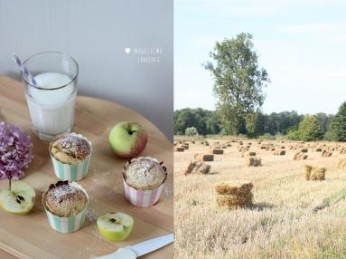 Zdjęcie - Pełnoziarniste muffiny z jabłkami - Przepisy kulinarne ze zdjęciami