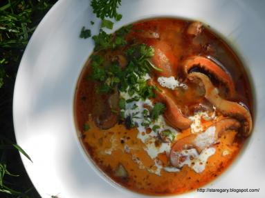 Zdjęcie - Zupa z rydzów - Przepisy kulinarne ze zdjęciami