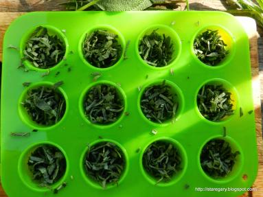 Zdjęcie - rozmaryn i szałwia w oliwie na zimę - Przepisy kulinarne ze zdjęciami