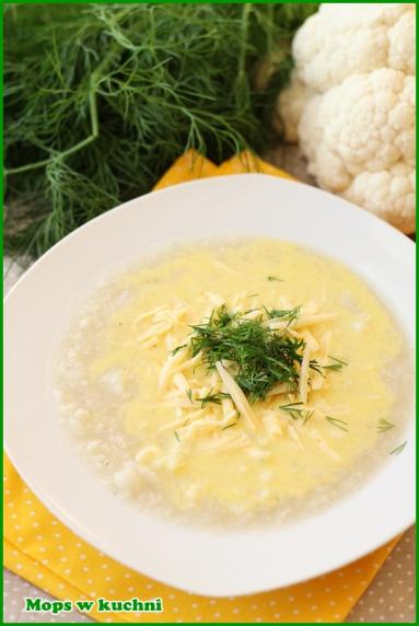 Zdjęcie - Blomkålsuppe – norweska zupa kalafiorowa - Przepisy kulinarne ze zdjęciami