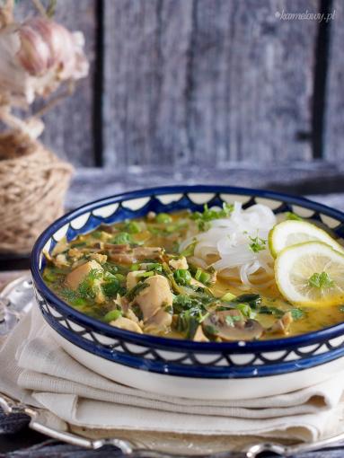 Zdjęcie - Kokosowa zupa z curry, kurczakiem i makaronem ryżowym / Coconut curry chicken noodle soup - Przepisy kulinarne ze zdjęciami