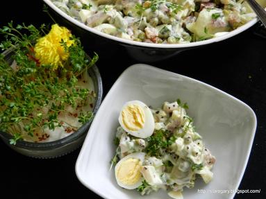 Zdjęcie - Sałatka jajeczna z rzeżuchą - Przepisy kulinarne ze zdjęciami