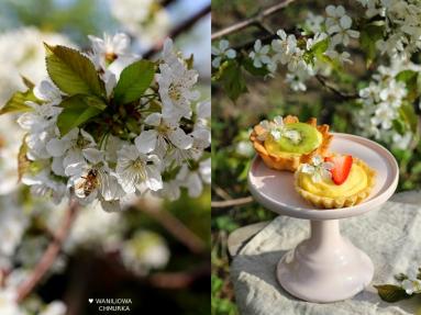 Zdjęcie - Tartaletki z cytrynowym kremem pâtissière i owocami - Przepisy kulinarne ze zdjęciami