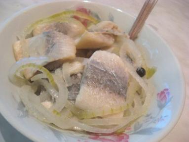 Zdjęcie - Śledzie w occie z  cebulą  - Przepisy kulinarne ze zdjęciami