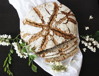 Zdjęcie - Biblijny chleb Ezechiela - Przepisy kulinarne ze zdjęciami