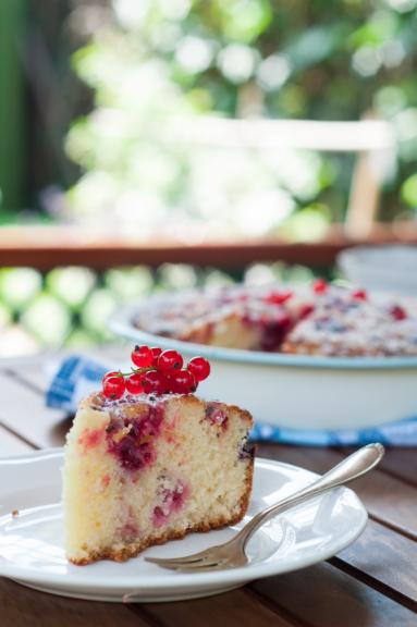 Zdjęcie - Jogurtowe ciasto z porzeczkami - Przepisy kulinarne ze zdjęciami