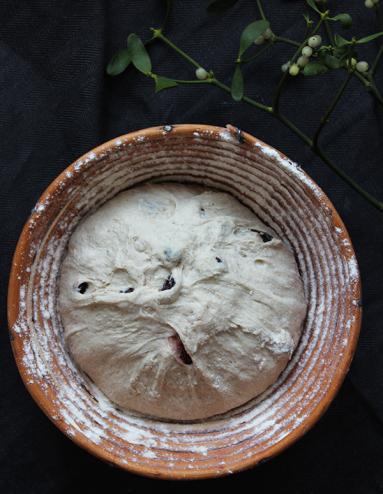 Zdjęcie - Chleb pszenno-orkiszowy z żurawiną na zakwasie - Przepisy kulinarne ze zdjęciami