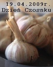 Zdjęcie - Salatka na Dzien Czosnku - Przepisy kulinarne ze zdjęciami