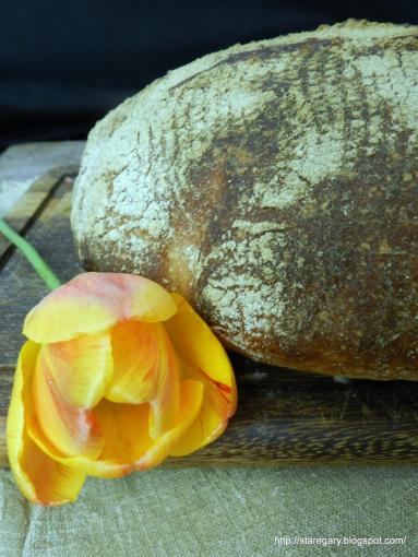 Zdjęcie - Chleb Tartine - majowa piekarnia - Przepisy kulinarne ze zdjęciami