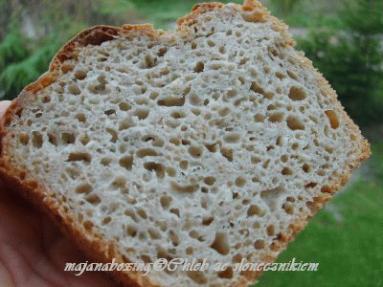 Zdjęcie - Chleb pszenno-żytni ze słonecznikiem  - Przepisy kulinarne ze zdjęciami
