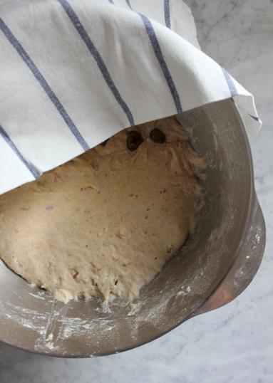 Zdjęcie - Chleb orkiszowy na zakwasie ze śliwkami - Przepisy kulinarne ze zdjęciami