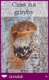 Zdjęcie - Fasolka z boczkiem i grzybami - Przepisy kulinarne ze zdjęciami