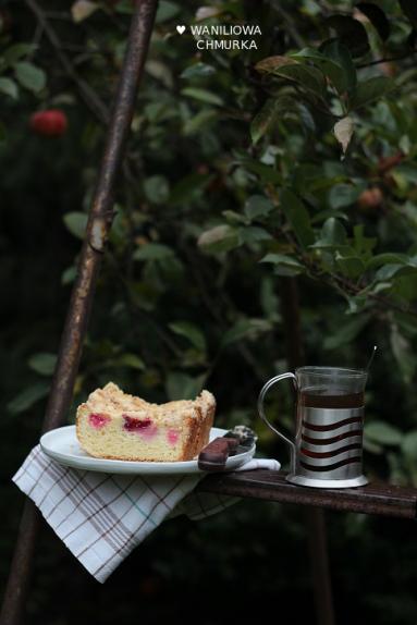 Zdjęcie - Wegańskie ciasto drożdżowe z jabłkami, żurawiną i cynamonową kruszonką - Przepisy kulinarne ze zdjęciami