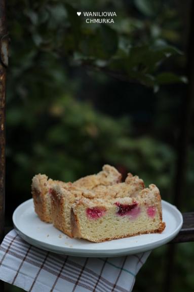 Zdjęcie - Wegańskie ciasto drożdżowe z jabłkami, żurawiną i cynamonową kruszonką - Przepisy kulinarne ze zdjęciami