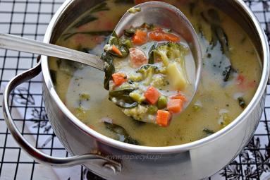 Zdjęcie - Zupa z warzywami, kurczakiem i kaszą jaglaną - Przepisy kulinarne ze zdjęciami