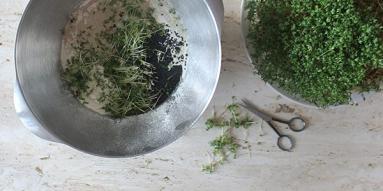 Zdjęcie - Zajączki z rzeżuchą i czarnuszką - Przepisy kulinarne ze zdjęciami