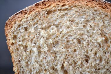 Zdjęcie - Chleb pszenno-orkiszowy, z ostropestem i nutą kolendry - Przepisy kulinarne ze zdjęciami