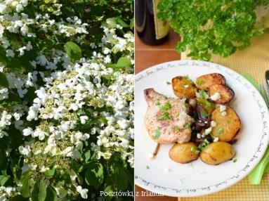 Zdjęcie - Schabowe pieczone z warzywami w sosie balsamicznym | U stóp Benbulbena - Przepisy kulinarne ze zdjęciami