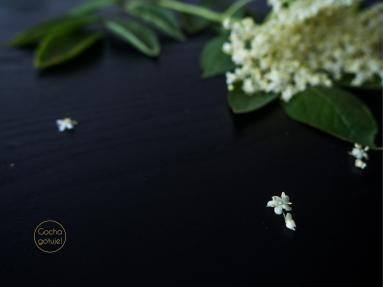 Zdjęcie - Kwiaty czarnego bzu w cieście naleśnikowym - Przepisy kulinarne ze zdjęciami