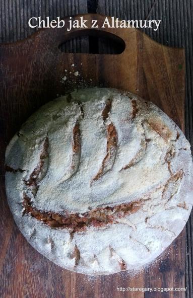 Zdjęcie - Chleb jak z Altamury - czerwcowa piekarnia - Przepisy kulinarne ze zdjęciami