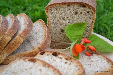 Zdjęcie - Chleb fasolowy z rozmarynem - Przepisy kulinarne ze zdjęciami