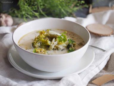 Zdjęcie - Zielona zupa warzywna z kurczakiem / Green vegetable soup with chicken - Przepisy kulinarne ze zdjęciami