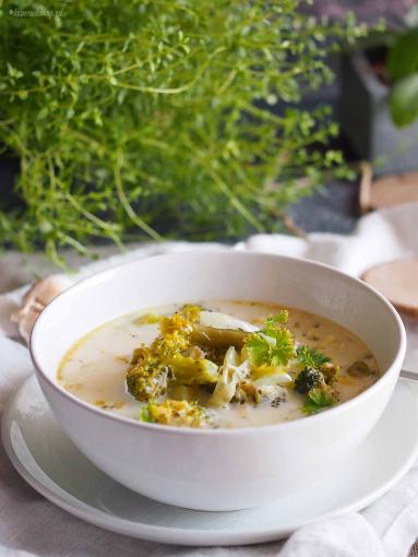 Zdjęcie - Zielona zupa warzywna z kurczakiem / Green vegetable soup with chicken - Przepisy kulinarne ze zdjęciami