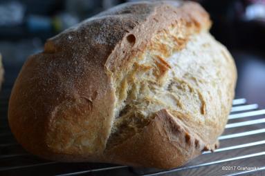 Zdjęcie - Chleb orkiszowy, na zakwasie i drożdżach - Przepisy kulinarne ze zdjęciami