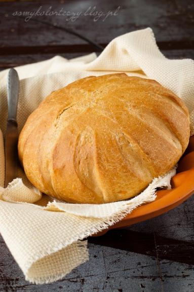 Zdjęcie - Pszenny chleb kubański. - Przepisy kulinarne ze zdjęciami