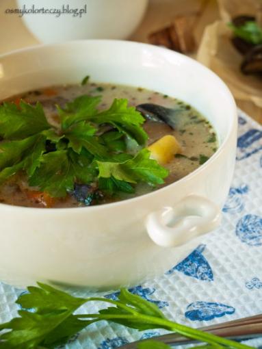 Zdjęcie - Tradycyjna zupa grzybowa - Przepisy kulinarne ze zdjęciami