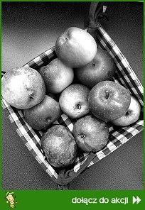 Zdjęcie - Muffinki z rajskimi jabłuszkami i orzechami. - Przepisy kulinarne ze zdjęciami