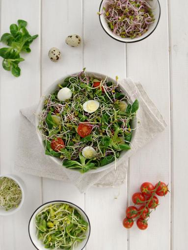 Zdjęcie - Sałatka wiosenna z kiełkami i jajkiem - Przepisy kulinarne ze zdjęciami