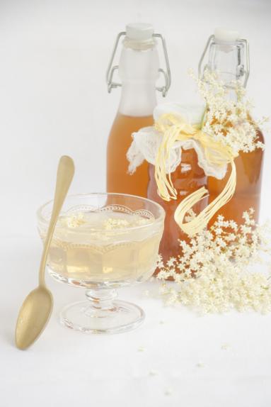 Zdjęcie - Bursztynowy syrop i galaretka  z kwiatów białego bzu - Przepisy kulinarne ze zdjęciami