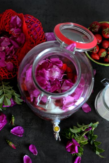 Zdjęcie - Różana truskawkówka - Przepisy kulinarne ze zdjęciami