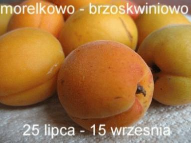 Zdjęcie - Muffinki z owocami według Bajaderki - Przepisy kulinarne ze zdjęciami