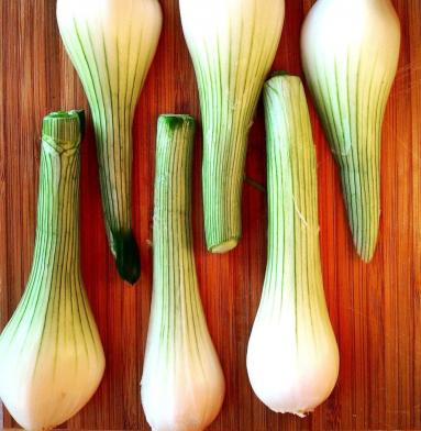 Zdjęcie - Zupa szparagowo-cebulowa z boczkiem - Przepisy kulinarne ze zdjęciami