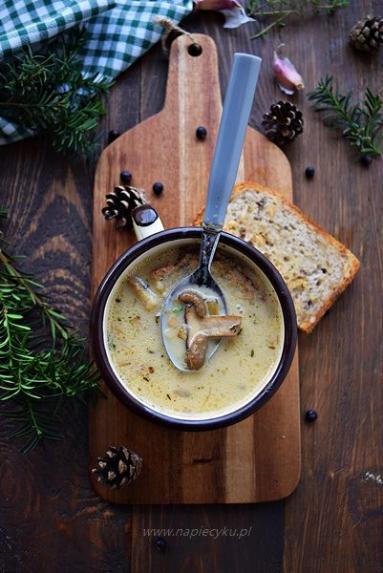 Zdjęcie - Zupa grzybowo – serowa - Przepisy kulinarne ze zdjęciami