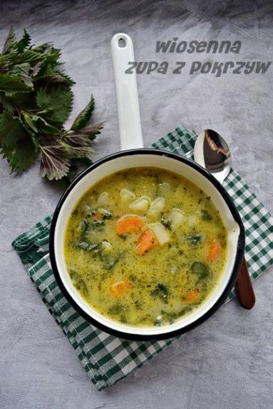 Zdjęcie - Szybka zupa z pokrzyw - Przepisy kulinarne ze zdjęciami