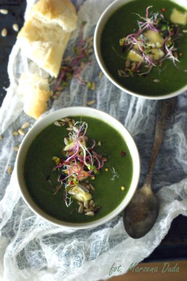 Zdjęcie - Zupa krem brokułowo - szpinakowa - Przepisy kulinarne ze zdjęciami