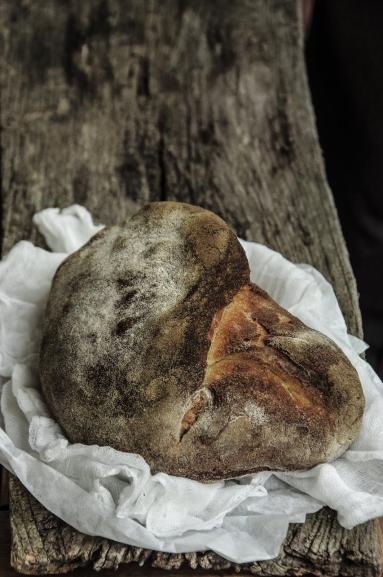 Zdjęcie - Chleb z semoliny z Altamury - Przepisy kulinarne ze zdjęciami