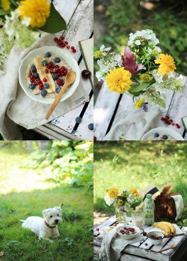 Zdjęcie - Wakacyjne śniadanie-roślinna owsianka - Przepisy kulinarne ze zdjęciami