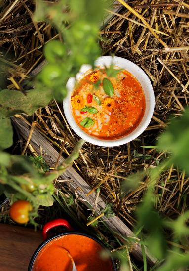 Zdjęcie - Pomidorowa ze świeżych pomidorów - Przepisy kulinarne ze zdjęciami