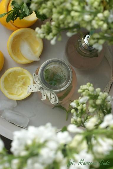 Zdjęcie - Lemoniada z rabarbarem - Przepisy kulinarne ze zdjęciami