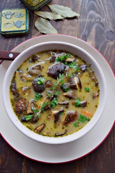 Zdjęcie - Zupa z grzybów leśnych - Przepisy kulinarne ze zdjęciami