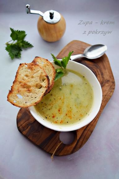 Zdjęcie - Zdrowa zupa - krem z pokrzyw - Napiecyku - Przepisy kulinarne ze zdjęciami