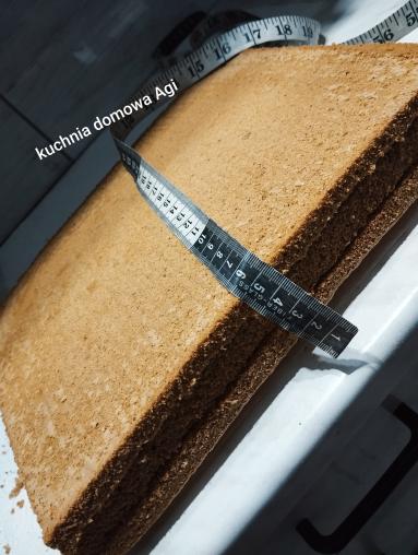 Zdjęcie - Biszkopt kakaowy z 8 jaj bez proszku do pieczenia z pysznym kremem budyniowo-makowym - Przepisy kulinarne ze zdjęciami